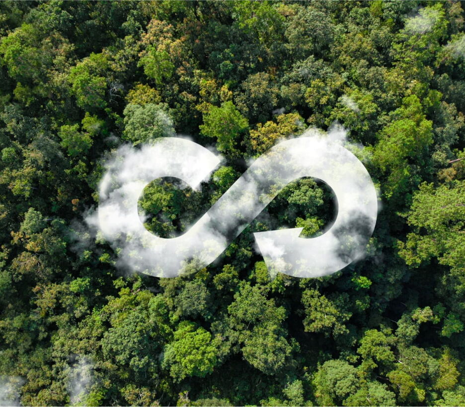 Circular economy symbol over a forest