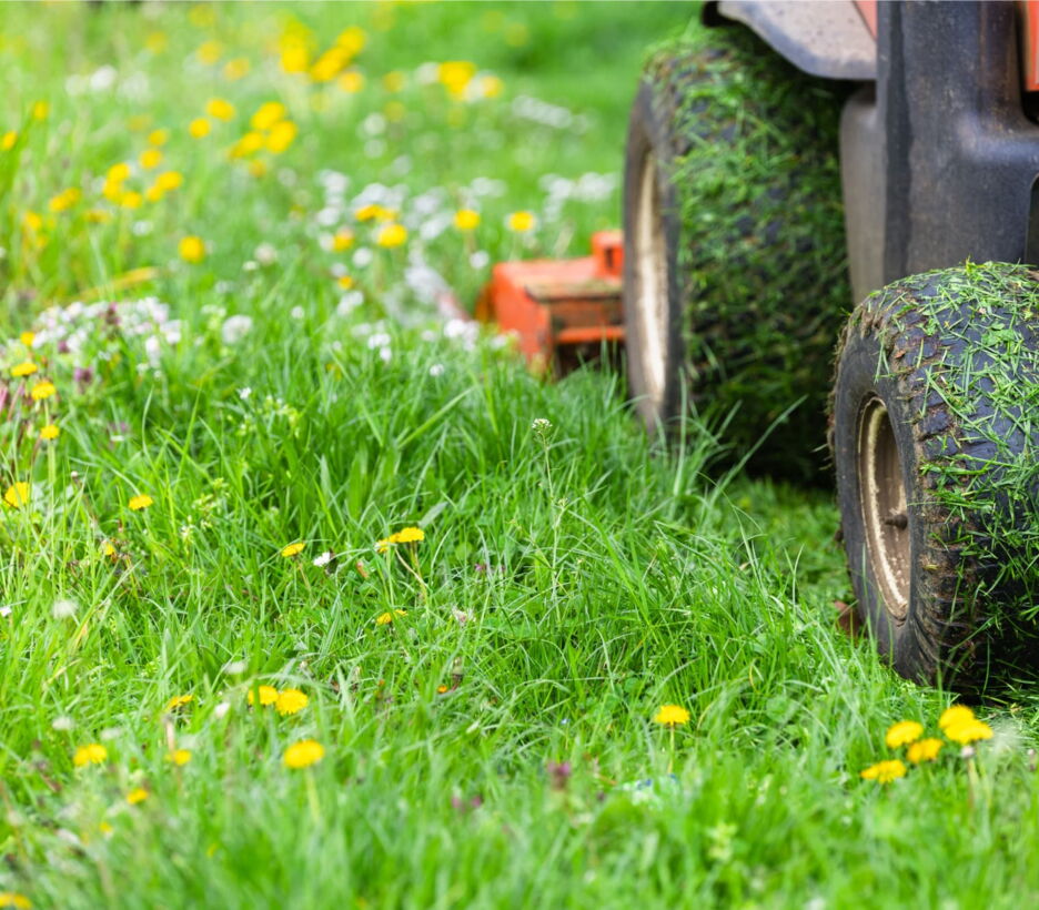 Lawn mower wheels on grass